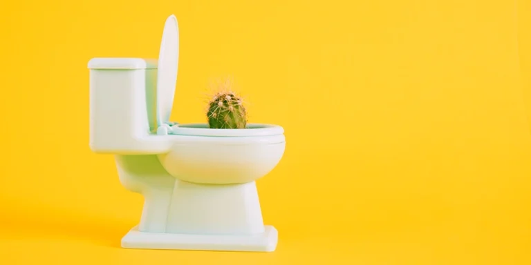flushed - Wait! Don't Flush That! 8 Items that Should Never be Flushed - cactus in toilet over yellow background