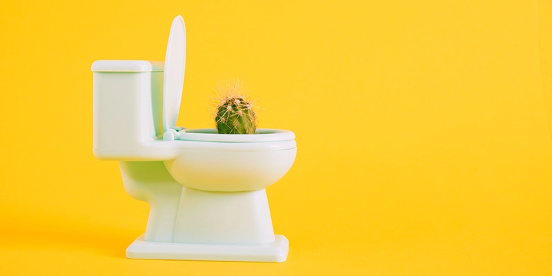 flushed - Wait! Don't Flush That! 8 Items that Should Never be Flushed - cactus in toilet over yellow background