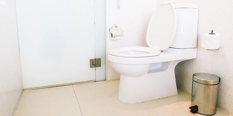 toilet height - Aspects to Take When Purchasing One - toilet and glass door
