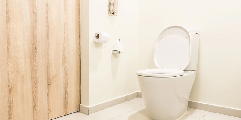 toilet height - Bathroom Size and Layout - toilet and wood door