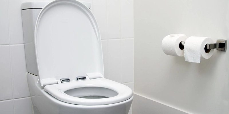 toilet height - Comfort Height Toilet - toilet double dispenser