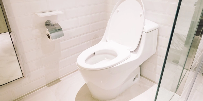 toilet height - Which one looks More Aesthetic - toilet with tile wall