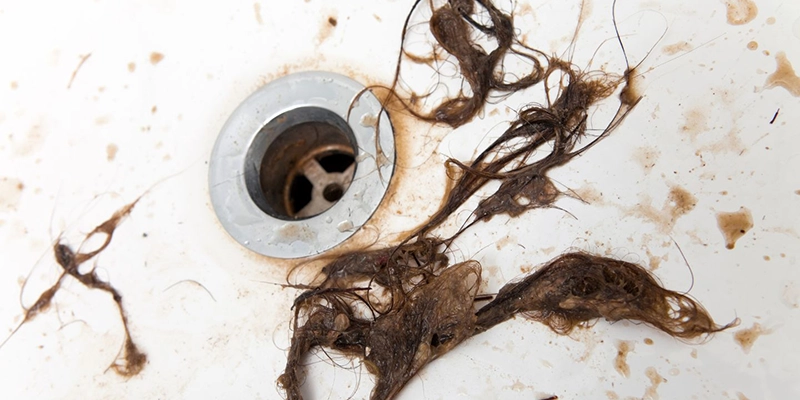 sewer smell - General Plumbing problems - hair removed from drain in bathtub