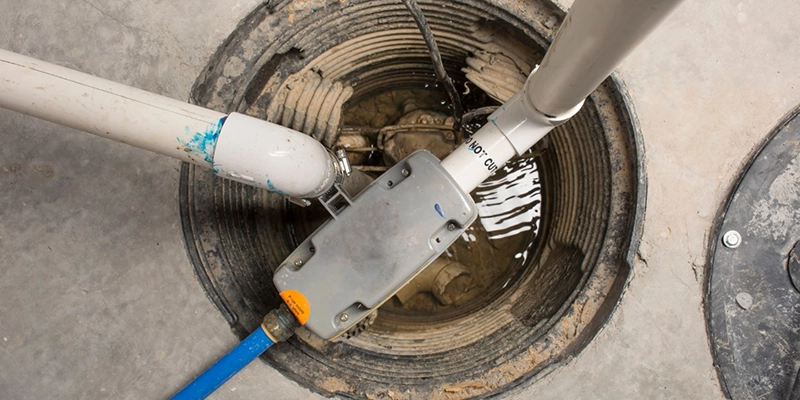sewer smell - Sewer backup - inspecting outside drain for problems