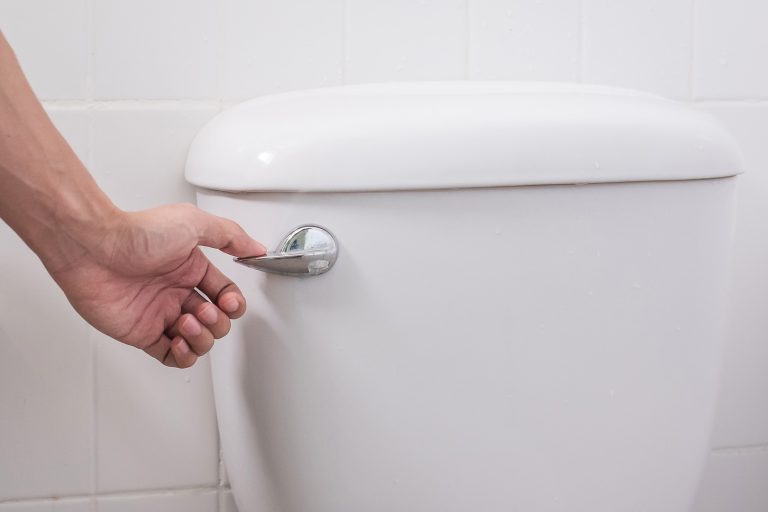 clogged toilet