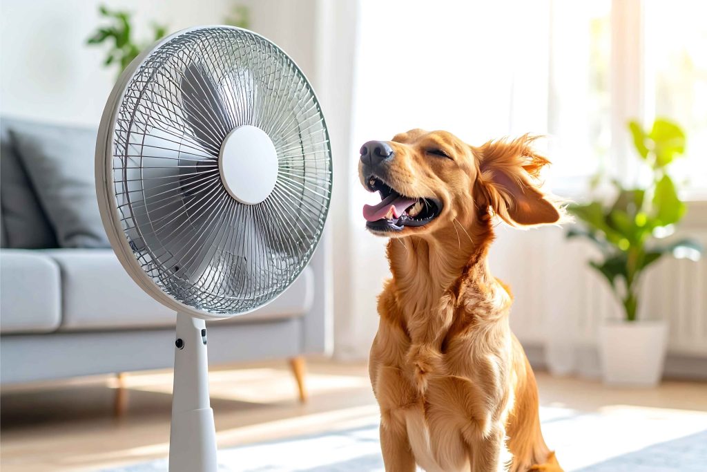 Emergency AC Repair