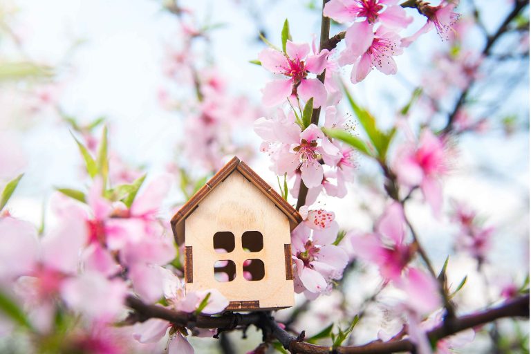 Prevent Indoor Allergies This Spring