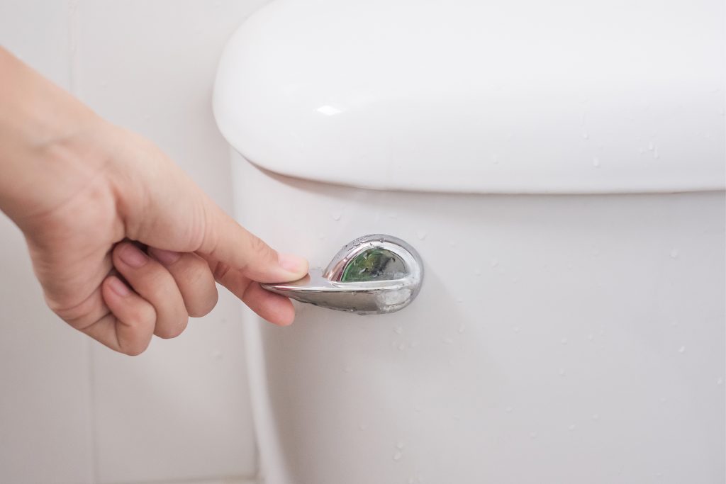 Be Careful What You Flush