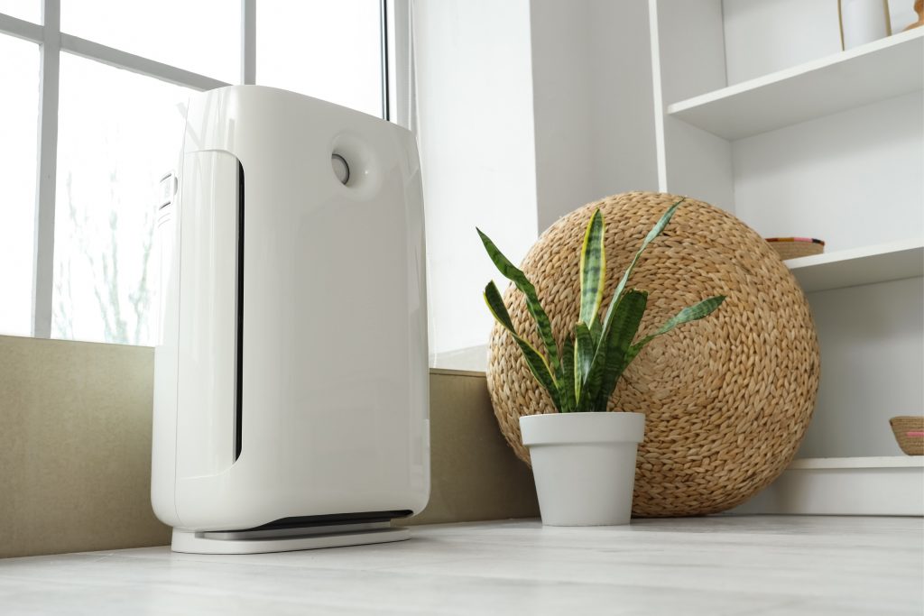 Portable Air Purifiers